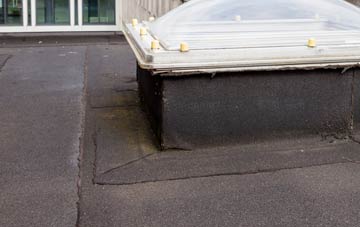 disadvantages of Wetwood flat roofs