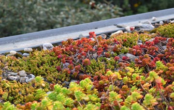 the cost of Wetwood green roof installation