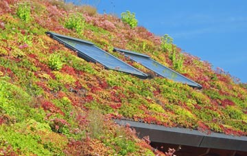 Wetwood living roof systems