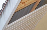 rated Wetwood soffit repair companies